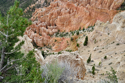 red, white, browm red colors